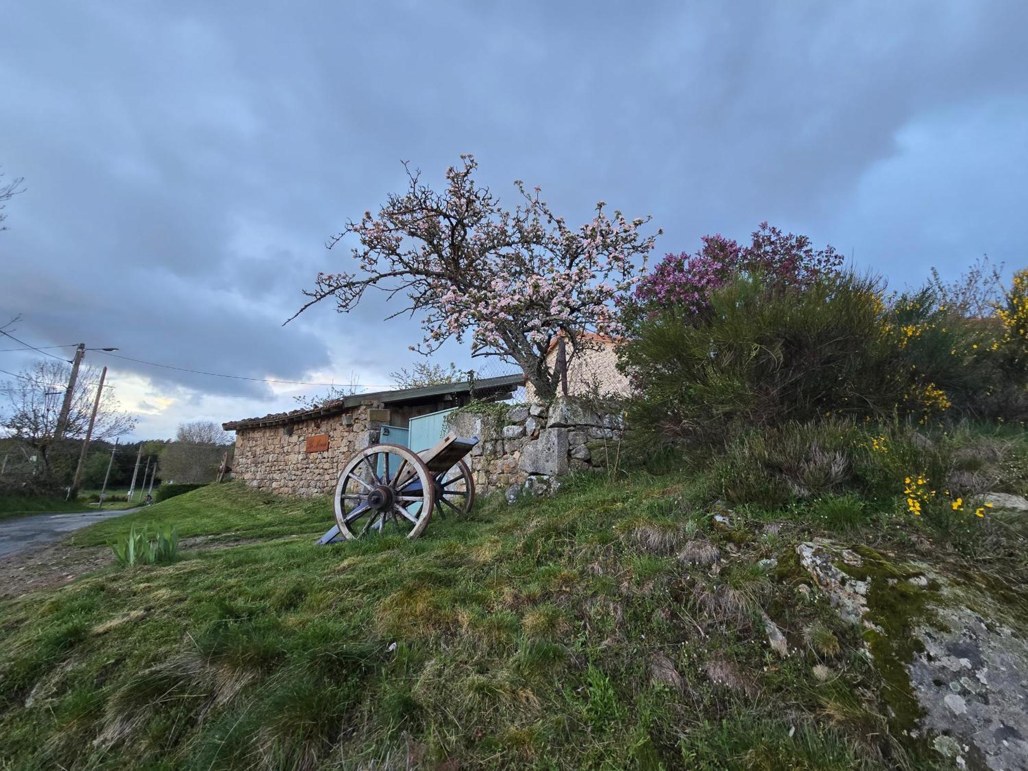 Villa Gite La Menou Usson-en-Forez Zimmer foto